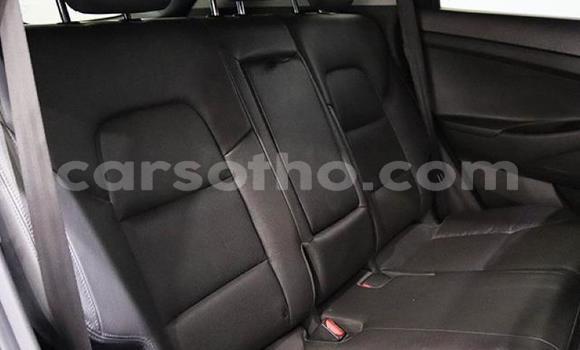 Acheter Occasion Voiture Hyundai Tucson Bleu à Maseru, Maseru Acheter Occasion Voiture Hyundai Tucson Bleu à Maseru, Maseru