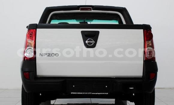 اشتري مستعمل Nissan NP 300 White سيارة في Maseru في Maseru اشتري مستعمل Nissan NP 300 White سيارة في Maseru في Maseru