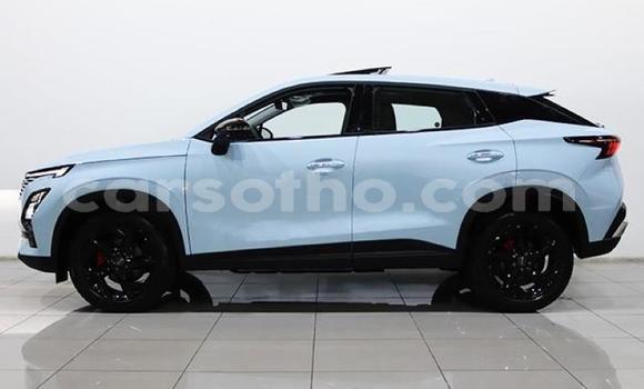 Acheter Occasion Voiture Osca 2500 GT Autre à Maseru, Maseru Acheter Occasion Voiture Osca 2500 GT Autre à Maseru, Maseru