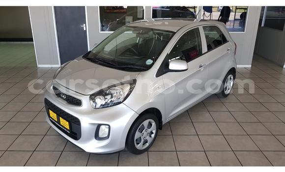 Acheter Occasion Voiture Kia Picanto Gris à Maputsoa, Leribe Acheter Occasion Voiture Kia Picanto Gris à Maputsoa, Leribe