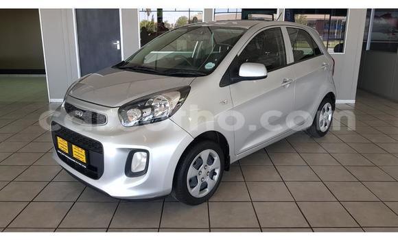 Acheter Occasion Voiture Kia Picanto Gris à Maputsoa, Leribe Acheter Occasion Voiture Kia Picanto Gris à Maputsoa, Leribe