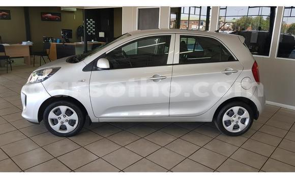 Acheter Occasion Voiture Kia Picanto Gris à Maputsoa, Leribe Acheter Occasion Voiture Kia Picanto Gris à Maputsoa, Leribe