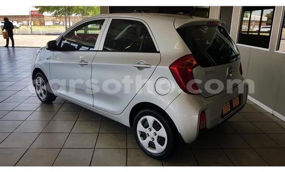 Acheter Occasion Voiture Kia Picanto Gris à Maputsoa, Leribe Acheter Occasion Voiture Kia Picanto Gris à Maputsoa, Leribe