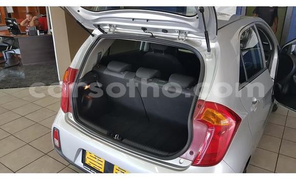Acheter Occasion Voiture Kia Picanto Gris à Maputsoa, Leribe Acheter Occasion Voiture Kia Picanto Gris à Maputsoa, Leribe