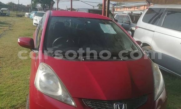 Buy Used Honda FIT Other Car in Maseru in Maseru