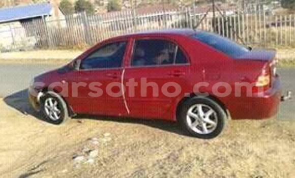 Sayi Na hannu Toyota Corolla Red Mota in Maseru a Maseru