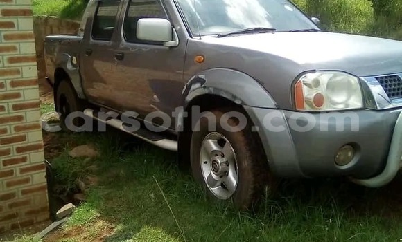 Acheter Occasion Voiture Nissan Hardbody Autre à Import - Dubai, Maseru