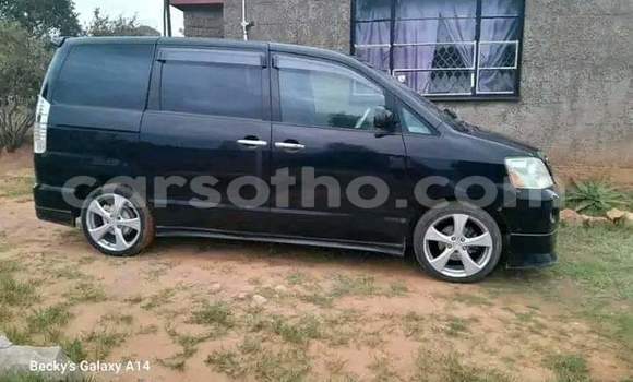 اشتري مستعمل Toyota Noah Black سيارة في Mafeteng في Mafeteng اشتري مستعمل Toyota Noah Black سيارة في Mafeteng في Mafeteng