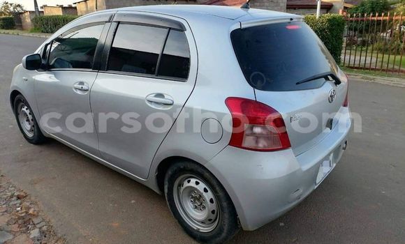 اشتري مستعمل Toyota Vitz Other سيارة في Mafeteng في Mafeteng اشتري مستعمل Toyota Vitz Other سيارة في Mafeteng في Mafeteng