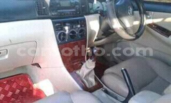 Sayi Na hannu Toyota Corolla Red Mota in Maseru a Maseru Sayi Na hannu Toyota Corolla Red Mota in Maseru a Maseru