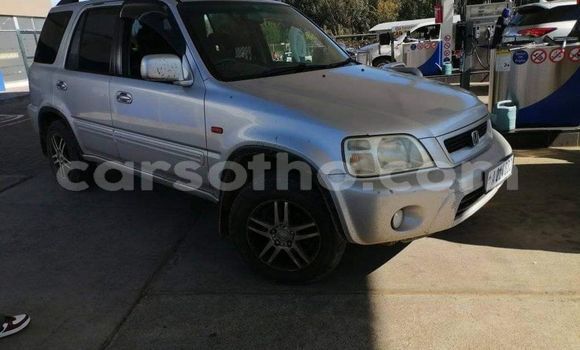 اشتري مستعمل Honda CR–V Other سيارة في Mafeteng في Mafeteng اشتري مستعمل Honda CR–V Other سيارة في Mafeteng في Mafeteng