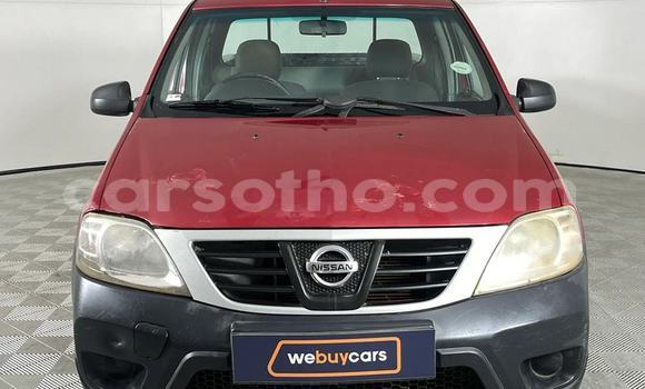 اشتري مستعمل Nissan NP 300 Red سيارة في Maputsoe في Leribe اشتري مستعمل Nissan NP 300 Red سيارة في Maputsoe في Leribe