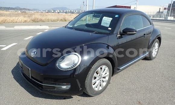Sayi Na hannu Volkswagen Beetle Black Mota in Import - Dubai a Maseru