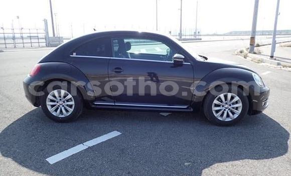 اشتري مستعمل Volkswagen Beetle Black سيارة في Import - Dubai في Maseru اشتري مستعمل Volkswagen Beetle Black سيارة في Import - Dubai في Maseru