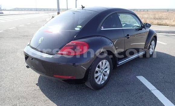 اشتري مستعمل Volkswagen Beetle Black سيارة في Import - Dubai في Maseru اشتري مستعمل Volkswagen Beetle Black سيارة في Import - Dubai في Maseru