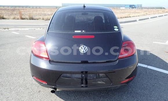اشتري مستعمل Volkswagen Beetle Black سيارة في Import - Dubai في Maseru اشتري مستعمل Volkswagen Beetle Black سيارة في Import - Dubai في Maseru