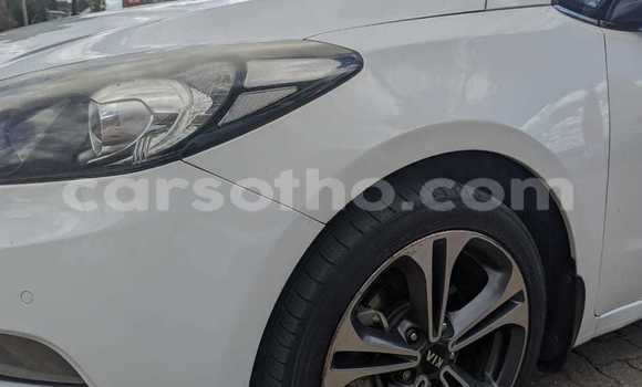 اشتري مستعمل Kia Cerato White سيارة في Hlotse في Leribe اشتري مستعمل Kia Cerato White سيارة في Hlotse في Leribe