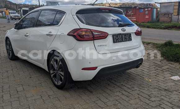 اشتري مستعمل Kia Cerato White سيارة في Hlotse في Leribe اشتري مستعمل Kia Cerato White سيارة في Hlotse في Leribe