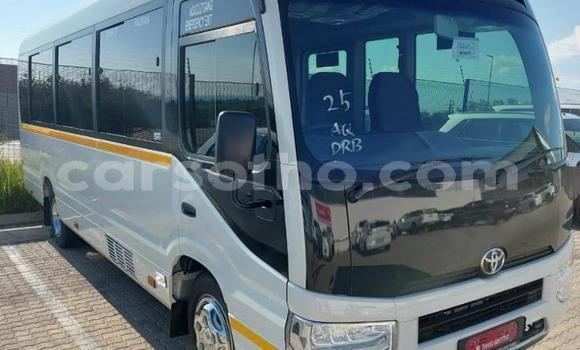 اشتري مستعمل Toyota Coaster White سيارة في Maseru في Maseru اشتري مستعمل Toyota Coaster White سيارة في Maseru في Maseru