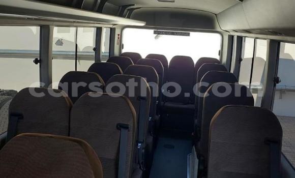 اشتري مستعمل Toyota Coaster White سيارة في Maseru في Maseru اشتري مستعمل Toyota Coaster White سيارة في Maseru في Maseru