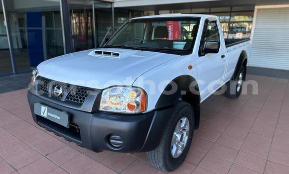 اشتري مستعمل Nissan NP 300 White سيارة في Maseru في Maseru اشتري مستعمل Nissan NP 300 White سيارة في Maseru في Maseru