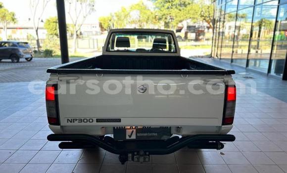 اشتري مستعمل Nissan NP 300 White سيارة في Maseru في Maseru اشتري مستعمل Nissan NP 300 White سيارة في Maseru في Maseru