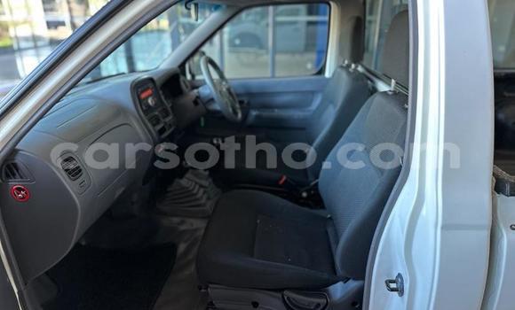 اشتري مستعمل Nissan NP 300 White سيارة في Maseru في Maseru اشتري مستعمل Nissan NP 300 White سيارة في Maseru في Maseru