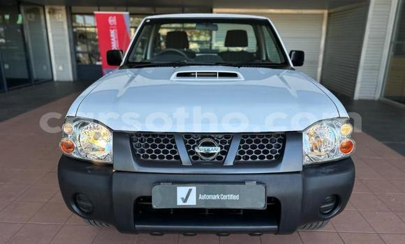 اشتري مستعمل Nissan NP 300 White سيارة في Maseru في Maseru اشتري مستعمل Nissan NP 300 White سيارة في Maseru في Maseru