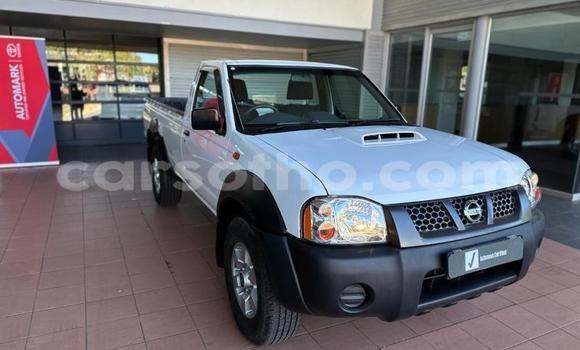 اشتري مستعمل Nissan NP 300 White سيارة في Maseru في Maseru اشتري مستعمل Nissan NP 300 White سيارة في Maseru في Maseru