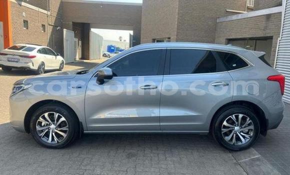 اشتري مستعمل Haval H6 Silver سيارة في Maseru في Maseru اشتري مستعمل Haval H6 Silver سيارة في Maseru في Maseru