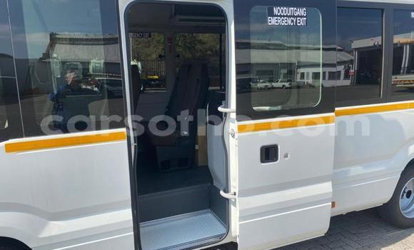 اشتري مستعمل Toyota Coaster White سيارة في Maseru في Maseru اشتري مستعمل Toyota Coaster White سيارة في Maseru في Maseru