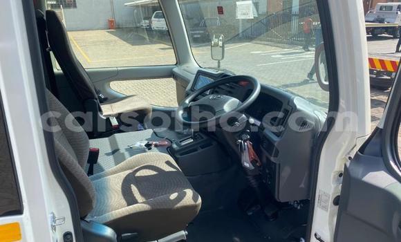 اشتري مستعمل Toyota Coaster White سيارة في Maseru في Maseru اشتري مستعمل Toyota Coaster White سيارة في Maseru في Maseru