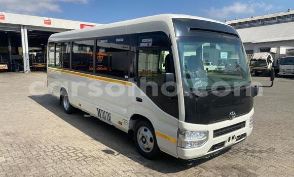 اشتري مستعمل Toyota Coaster White سيارة في Maseru في Maseru اشتري مستعمل Toyota Coaster White سيارة في Maseru في Maseru