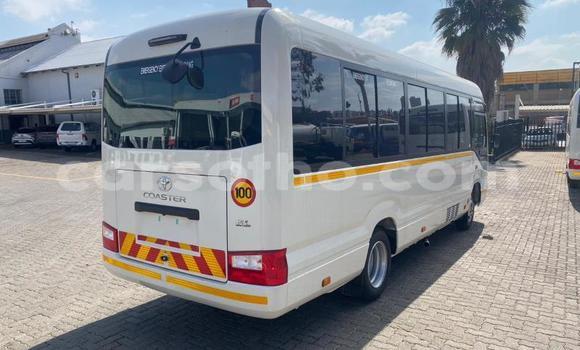 اشتري مستعمل Toyota Coaster White سيارة في Maseru في Maseru اشتري مستعمل Toyota Coaster White سيارة في Maseru في Maseru