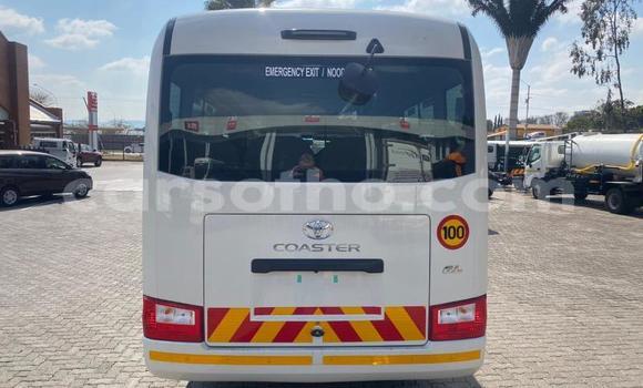 اشتري مستعمل Toyota Coaster White سيارة في Maseru في Maseru اشتري مستعمل Toyota Coaster White سيارة في Maseru في Maseru