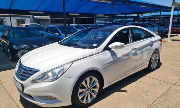 اشتري مستعمل Hyundai Sonata White سيارة في Maseru في Maseru اشتري مستعمل Hyundai Sonata White سيارة في Maseru في Maseru