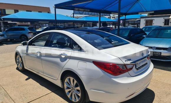 اشتري مستعمل Hyundai Sonata White سيارة في Maseru في Maseru اشتري مستعمل Hyundai Sonata White سيارة في Maseru في Maseru