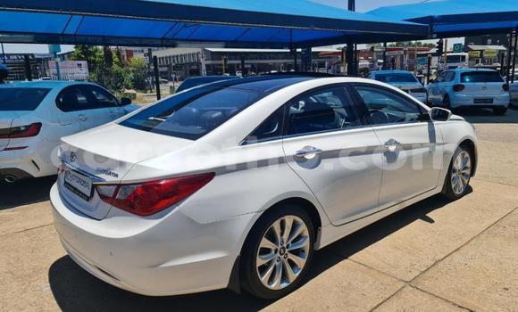 اشتري مستعمل Hyundai Sonata White سيارة في Maseru في Maseru اشتري مستعمل Hyundai Sonata White سيارة في Maseru في Maseru