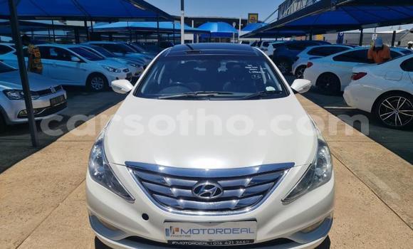 اشتري مستعمل Hyundai Sonata White سيارة في Maseru في Maseru اشتري مستعمل Hyundai Sonata White سيارة في Maseru في Maseru
