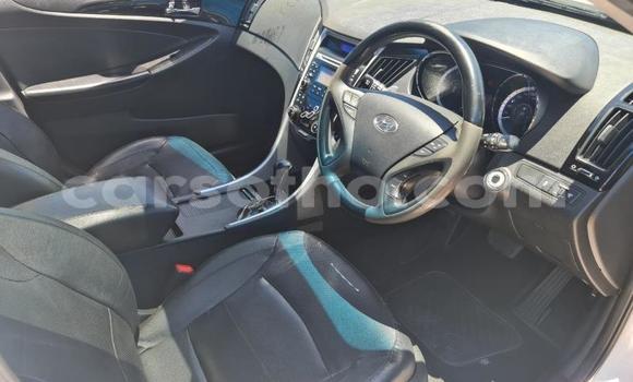 اشتري مستعمل Hyundai Sonata White سيارة في Maseru في Maseru اشتري مستعمل Hyundai Sonata White سيارة في Maseru في Maseru