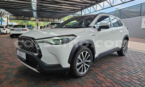 اشتري مستعمل Toyota Corolla Cross White سيارة في Maseru في Maseru