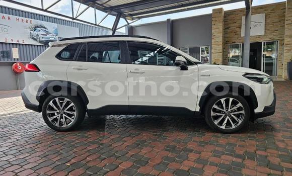 اشتري مستعمل Toyota Corolla Cross White سيارة في Maseru في Maseru اشتري مستعمل Toyota Corolla Cross White سيارة في Maseru في Maseru
