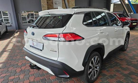 اشتري مستعمل Toyota Corolla Cross White سيارة في Maseru في Maseru اشتري مستعمل Toyota Corolla Cross White سيارة في Maseru في Maseru