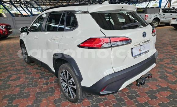 اشتري مستعمل Toyota Corolla Cross White سيارة في Maseru في Maseru اشتري مستعمل Toyota Corolla Cross White سيارة في Maseru في Maseru
