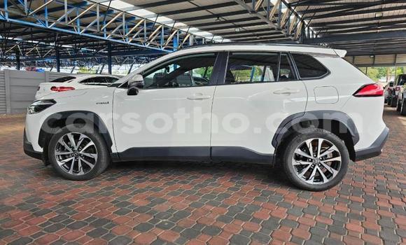 اشتري مستعمل Toyota Corolla Cross White سيارة في Maseru في Maseru اشتري مستعمل Toyota Corolla Cross White سيارة في Maseru في Maseru