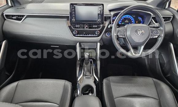 اشتري مستعمل Toyota Corolla Cross White سيارة في Maseru في Maseru اشتري مستعمل Toyota Corolla Cross White سيارة في Maseru في Maseru