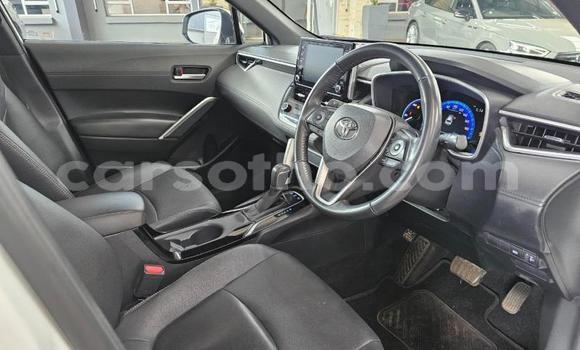 اشتري مستعمل Toyota Corolla Cross White سيارة في Maseru في Maseru اشتري مستعمل Toyota Corolla Cross White سيارة في Maseru في Maseru