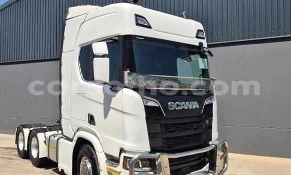 Acheter Occasion Utilitaire Scania R420 Blanc à Maseru, Maseru Acheter Occasion Utilitaire Scania R420 Blanc à Maseru, Maseru