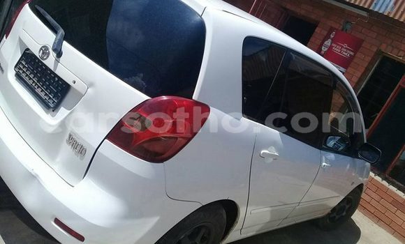 Sayi Na hannu Toyota Spacio White Mota in Maseru a Maseru Sayi Na hannu Toyota Spacio White Mota in Maseru a Maseru