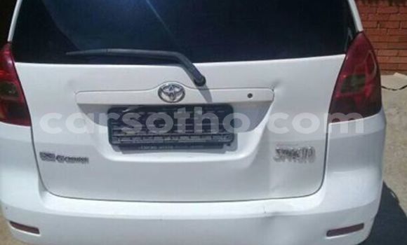 Sayi Na hannu Toyota Spacio White Mota in Maseru a Maseru Sayi Na hannu Toyota Spacio White Mota in Maseru a Maseru